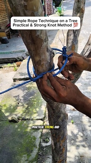 Simple Rope Technique on a Tree | Practical & Strong Knot Method 💯