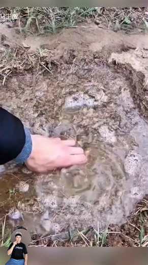 INdra Asm on Instagram: "Cara Bertahan Hidup di Alam Liar: Mengubah Air Kotor Jadi Air Minum 😱 #SurvivalSkill #TipsAlamLiar #AirMinumDarurat #LifeHackOutdoor"