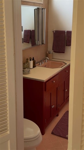 Robert Gigliotti | finally done. (for now lol) @codestudio.la #bathroommakeover #bathroom #diy #painting #bathroominspo #pinktile #vintagebathroom | Instagram