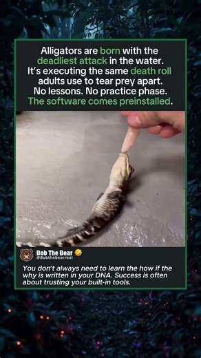 Death Roll Comes Preinstalled