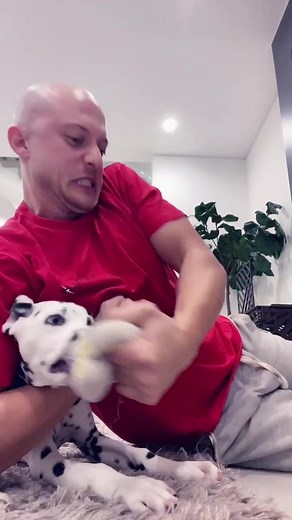 Wir haben den Dieb ertappt !!! #german