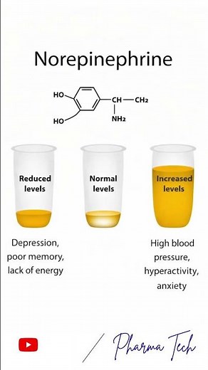Significance of Norepinephrine
