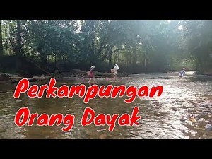 Gadis Dayak Mandi Di sungai || Suasana Sungai di Perkampungan Dayak Kalimantan