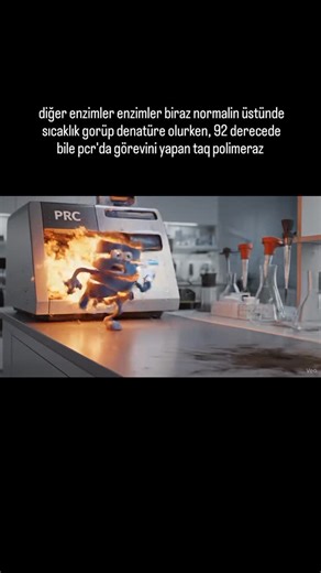 tek zincir dna | taq polimeraz enzimi thermus aquaticus denen adamın dibi termofilik olan bir bakteriden sentez edilmektedir. bu öyle bir enzim ki 60-70... | Instagram