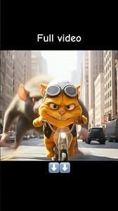 Crazy Cat Meow Meow Song #Crazycat #crazycats #song