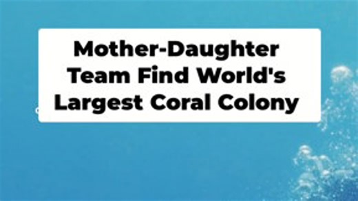 Mother-daughter duo discover world's largest coral colony