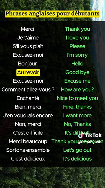 Phrases Anglaises pour Débutants : Apprendre Facilement