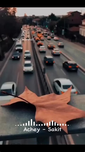 achey - sakit #fyp #lirikvideo