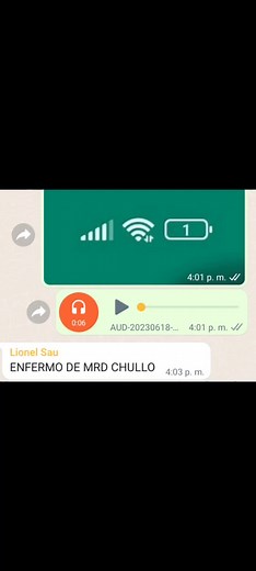 Understanding Voice Messages on Messaging Apps