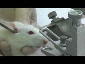 Basic Techniques in the Neuroscience Laboratory I Stereotactic Surgery