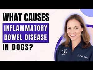 What causes inflammatory bowel disease in dogs