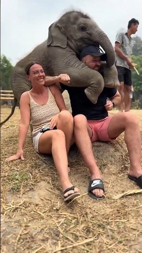 🐘 Cute Elephants Doing Funny Things – Heartwarming Moments #funny #elephant #shorts