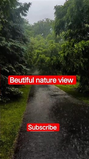 Viral Nature Views You Won't Believe | Nature's Beauty: A Short Escape ✅#nature #shorts #travel