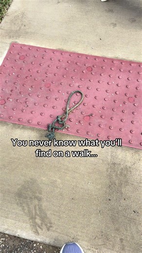 Found this interesting rope knot on a walk today. You never know what you’ll spot when you slow down and look around. #walkingfinds #thingsyouseeonawalk #outdoorfinds #naturewalk #dailywalk