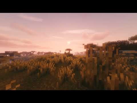 two idiots playing the broken script (turns out bad, we ran to lifesteal smp)