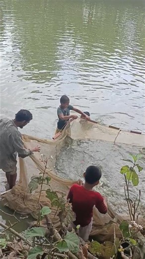 Ai pitivi sisti tomay namer usilay,, #gojol #rasul