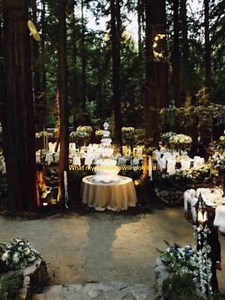 #twilight #fyp #weddingvibes #forest #fyp | Twilight Wedding