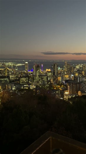 ビーナスブリッジからの夜景#shorts