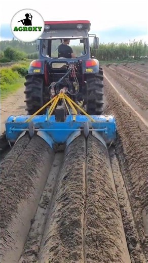 Is Hybrid Seed Bad #agriculture #farming #hybridseeds #facts