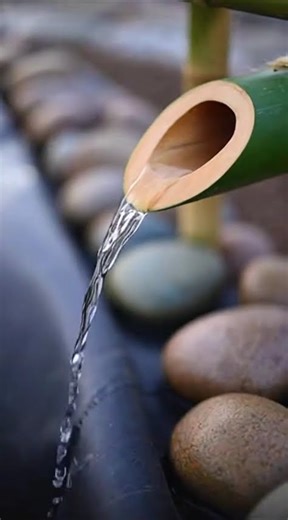 From Empty Backyard to Luxury Koi Paradise 🐟✨ | Insane Garden Transformation