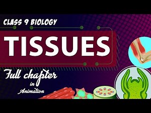 Tissues Class 9 Full chapter in animation