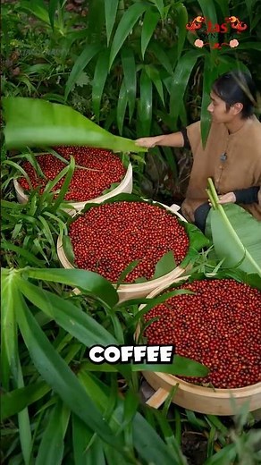 How Coffee is Crafted by Hand in an Ancient Way