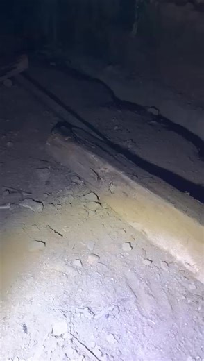 Your sub-floor tells a hidden story! ️‍♂️ A thorough termite...