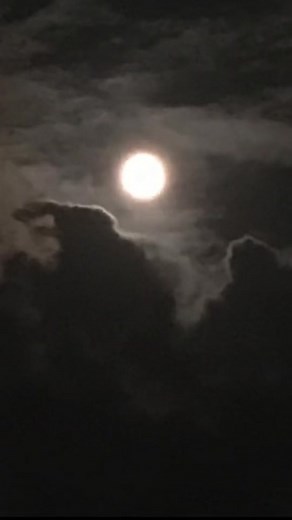 Bringing back this classic just in time for spooky season 🌕 #art #painting #paintingtutorial #arttutorial #acrylicpaint #halloween #spooky