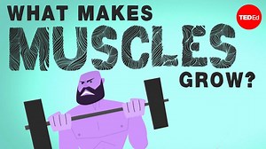 How to take care of the 600 muscles in our body that bind us together, hold us up, and help us move: | TED-Ed
