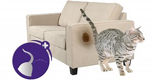 Does Your Cat Pee Outside The Litter Box? | FELIWAY