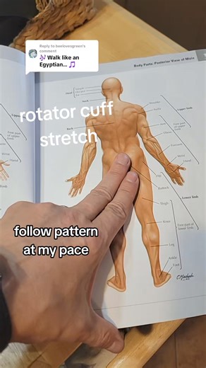 287K views · 3.2K reactions |  shoulder rotation in the coronal (up...