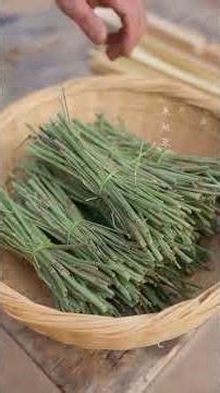 The Secret of 3000-Year-Old Books: Ancient Chinese Bamboo Slips 🎋📜