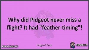 Pidgeot - Jokes, Puns, Wordplays, and Laughter