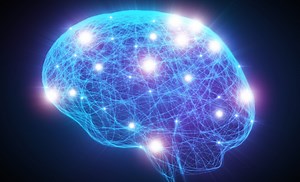 A Single Memory Is Stored Across Many Connected Brain Regions