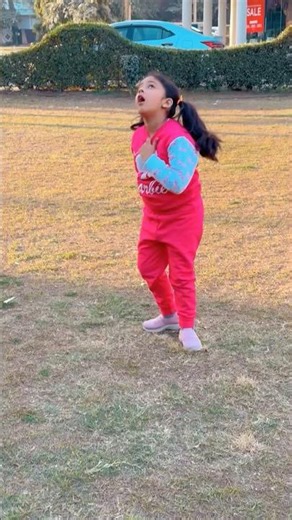 Sky Magic! Plane Smoke View ✈️☁️🔥#shortvideo