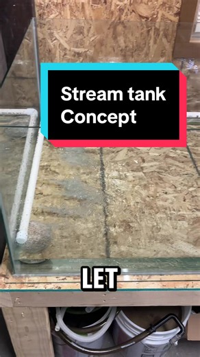 Stream Tank Aquascape: How to Build a Stream-Style Planted Aquarium