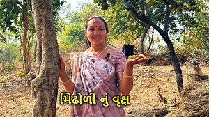 554K views · 13K reactions | મિંઢોળી નું વૃક્ષ અને તેના ફળ #visratu #farmer #vlogs | Daxa Recipes | Facebook