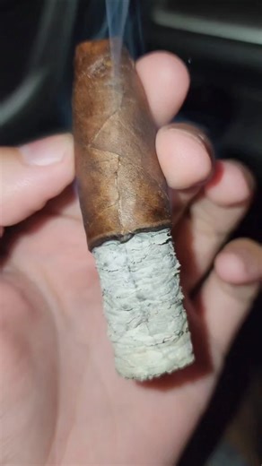 The Truth About Re-Lighting Cigars⤵️ #CigarLife