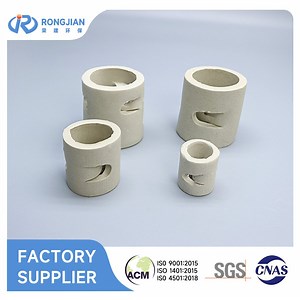 [Hot Item] Random Tower Packing Ceramic Pall Ring for Drying and Dehydration in Chemical Industry