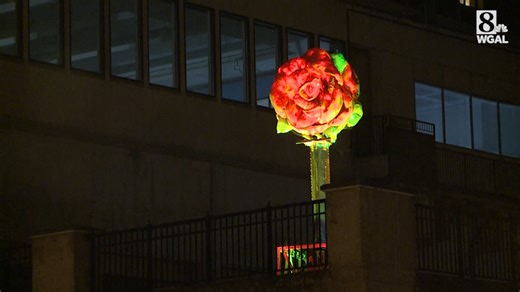 Disappointed that Lancaster canceled the red rose drop? Watch our archive video