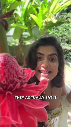 This Flower Has More Nutrients Than Multivitamins?! 🌺