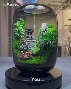 Add a touch of serenity to any room. PlantPico™ Zen Garden: Where style meets tranquility. 🌿💖 | PlantPico