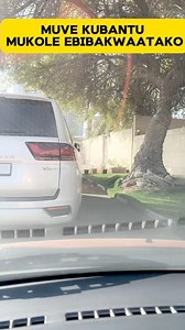 1.1K views · 52 reactions | Some "noteworthy" facts about gossip in...