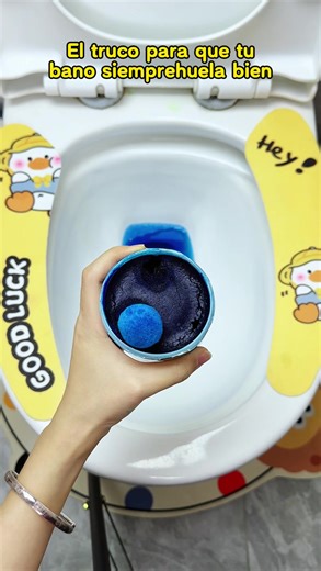 Effective Toilet Bowl Cleaner Ideas for Black Friday