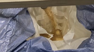 5.1K views · 331 reactions | Here is some bonus content for you Farmy Army! Here is how Glebe Farm Foods process Bill’s Oats into gluten-free products! #HarvestOnTheFarm | This Week on the Farm | Facebook