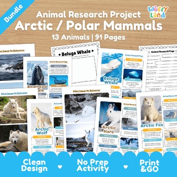 Arctic and Polar Mammals Research Project Bundle | Winter Wildlife | Polar Bear