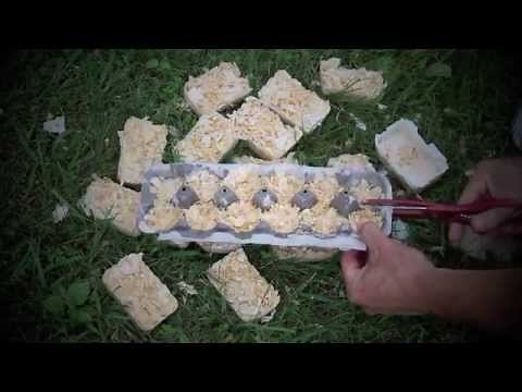 Making your own fire-starters