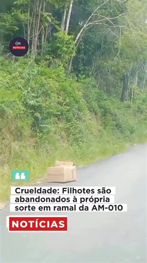 Eixo Norte Notícias on Instagram: "🚨 Abandono de animais é registrado na AM-010 Um caso de abandono de animais foi registrado no km 26 da rodovia AM-010, no ramal Bons Amigos. Quatro filhotes de cachorro foram encontrados dentro de uma caixa de papelão, em uma área isolada e distante de zonas urbanas. De acordo com informações apuradas no local, os animais estavam sem acesso a abrigo ou alimentação. As imagens mostram os filhotes em situação de vulnerabilidade, expostos ao sol, à chuva e ao ris