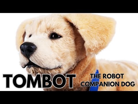 Meet Tombot - the robotic companion dog