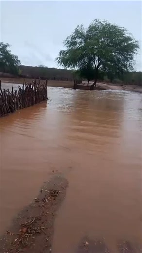Cabaceiras In Foco/PB 🏜 on Instagram: "Sitio Volta em Cabaceiras 🙏 Após a forte chuva que está caindo na região. Enviado por Carol em 08 de fevereiro de 2026 #Cabaceirasinfoco"